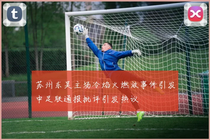 苏州东吴主场冷焰火燃放事件引发中足联通报批评引发热议